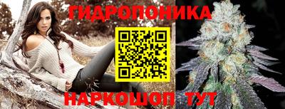 амф Жуковский
