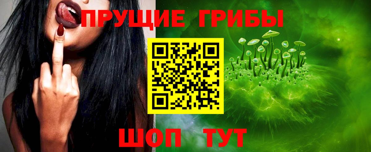 Псилоцибиновые грибы Psilocybine cubensis Лосино-Петровский